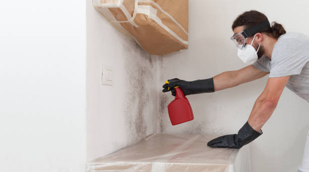 Professional Crawl Space Mold Removal technician working in Celina, TX